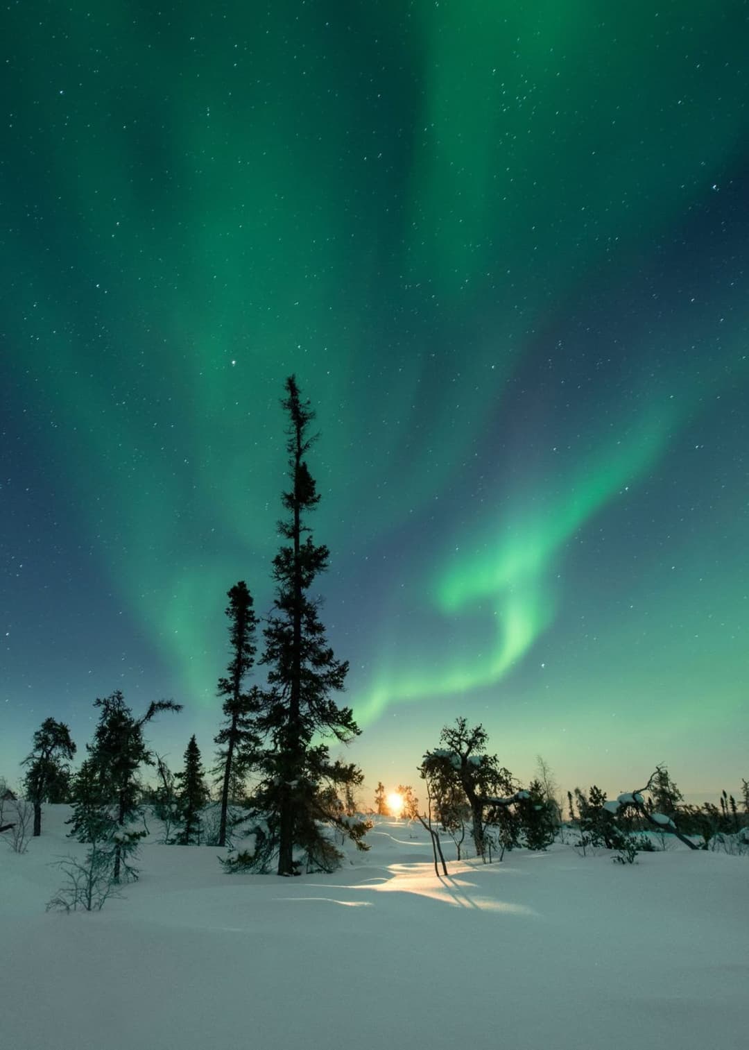 Lapland Wonderland
