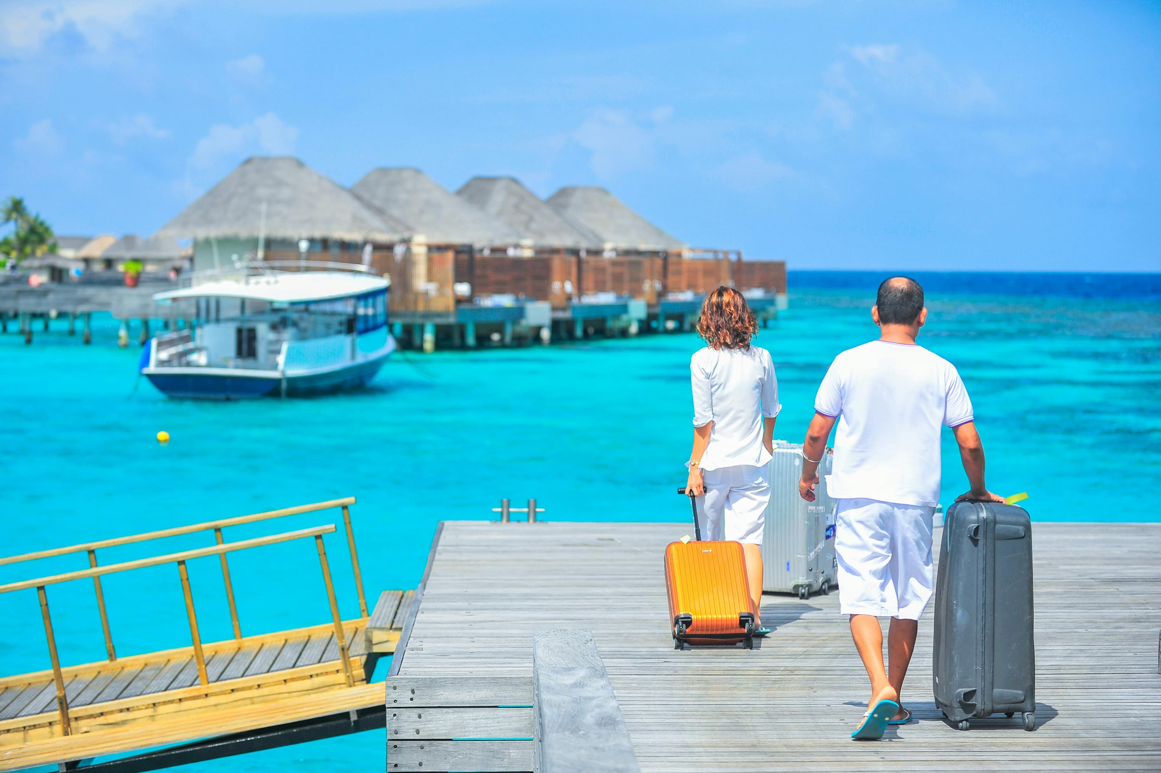 Professional travel consultation